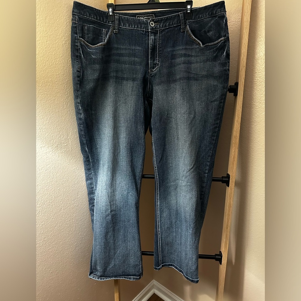 CATO Premium | 22W